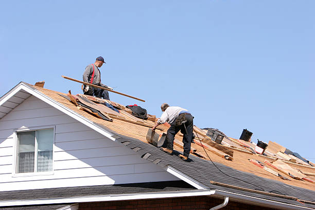 Best Gutter Installation and Repair  in Springville, IA